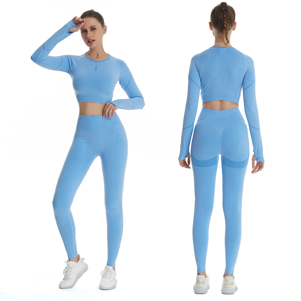 Women 2pcs Seamless Yoga Set Sport Suit Gymwear Workout Clothes