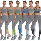 Stripe yoga Bra  Legging Set Women Shockproof Gym Clothing Spandex Fabric Yoga Sets Women Gym Clothes